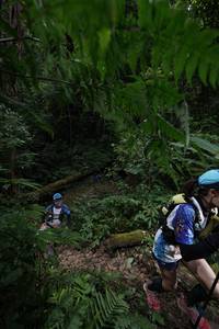 BIB: 082
                            <button type="button" onclick="openModal(16029384)" class="btn btn-primary btn-sm float-right btn-popup" data-toggle="modal" data-target=".modal-high-quality">
                        <i class="fas fa-shopping-cart"></i> Add to Cart
                    </button>
                                            <button type="button" onclick="isThisMe(16029384, true)" class="btn btn-success btn-sm float-right btn-popup btn-isme hidden" data-toggle="tooltip" data-placement="bottom" title="นี่คือรูปของคุณใช่ไหม คลิกที่นี่เพื่อเอาเข้าอัลบั้ม">
                        <i class="fas fa-plus"></i> Add to album
                    </button>
                    <button type="button" onclick="isThisMe(16029384, false)" class="btn btn-warning btn-sm float-right btn-popup btn-isnotme hidden">
                        <i class="fas fa-ban"></i> Remove from album
                    </button>